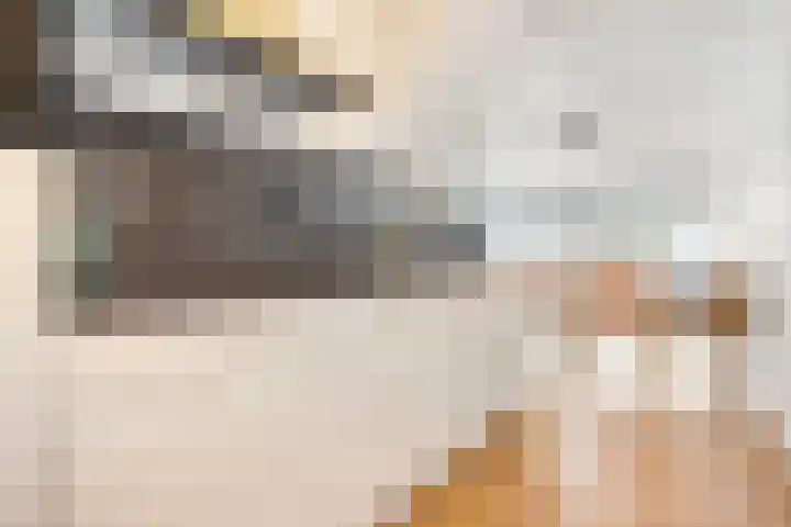 Borneolaan 191 Amsterdam thumbnail 6