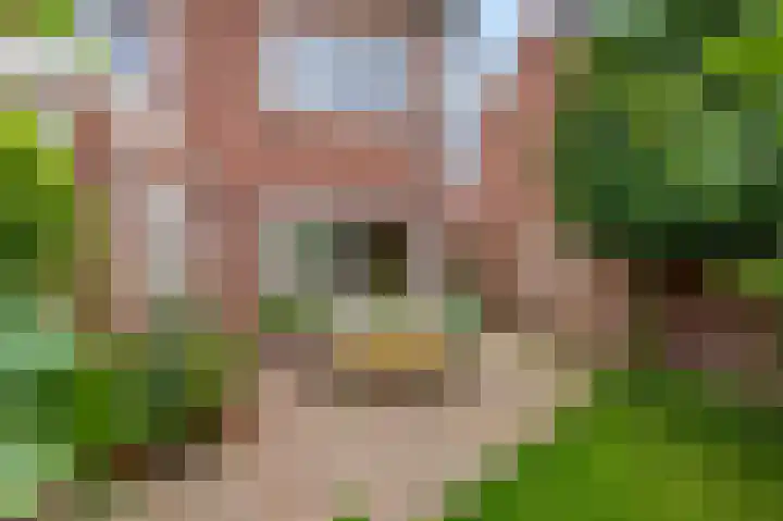 Borneolaan 48 Ede thumbnail 33