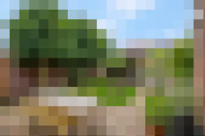 Borneolaan 48 Ede thumbnail 35