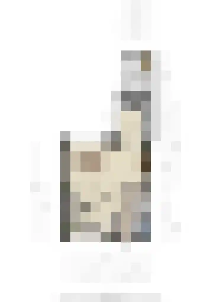 Borneolaan 48 Ede thumbnail 45