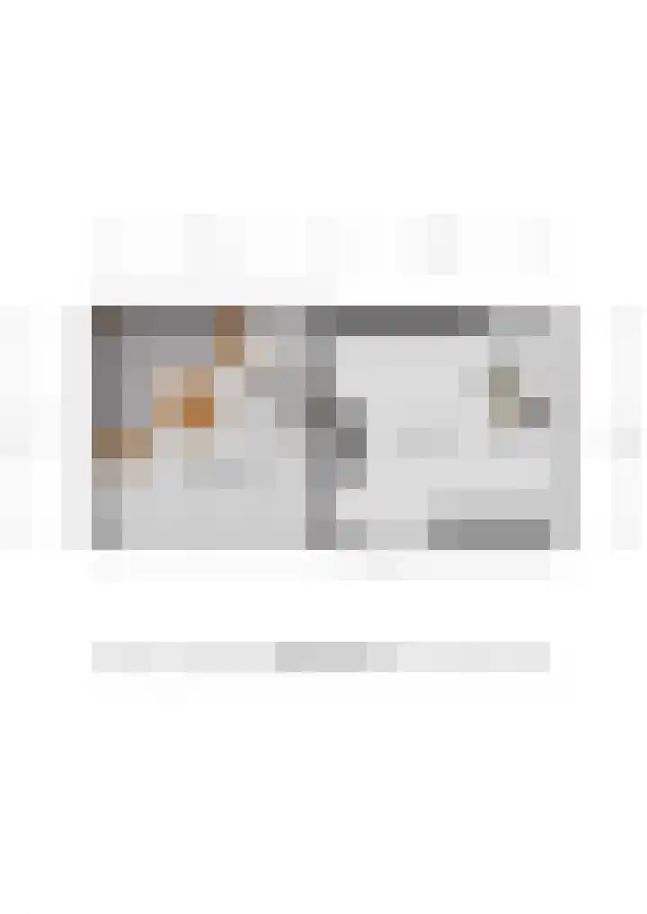 Borneolaan 48 Ede thumbnail 48
