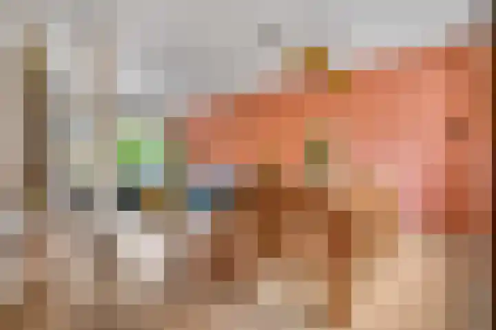 Borneolaan 48 Ede thumbnail 9