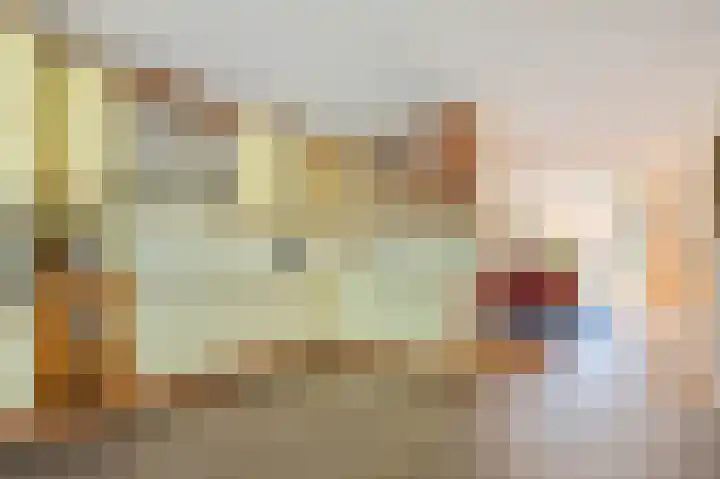 Borneolaan 6 Huizen thumbnail 10