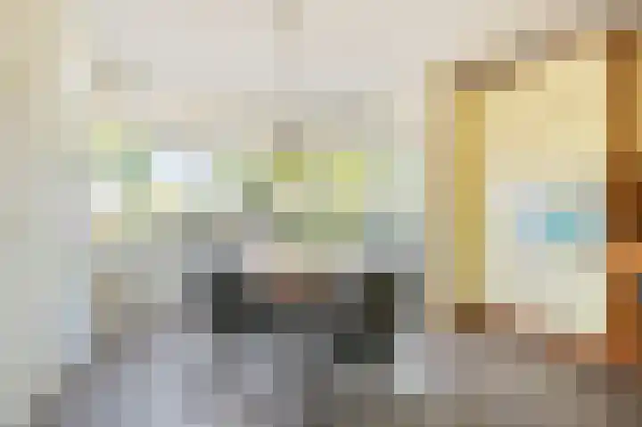 Borneolaan 6 Huizen thumbnail 11