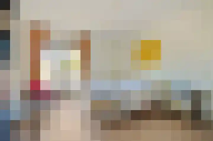 Borneolaan 6 Huizen thumbnail 15