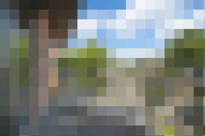 Borneolaan 6 Huizen thumbnail 16