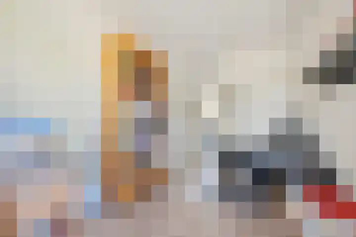 Borneolaan 6 Huizen thumbnail 18