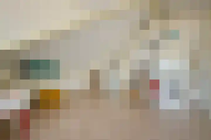 Borneolaan 6 Huizen thumbnail 22