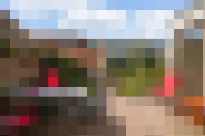 Borneolaan 6 Huizen thumbnail 28