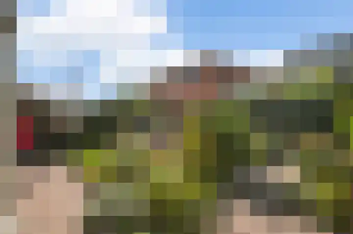 Borneolaan 6 Huizen thumbnail 30