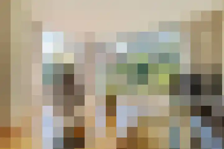 Borneolaan 6 Huizen thumbnail 8