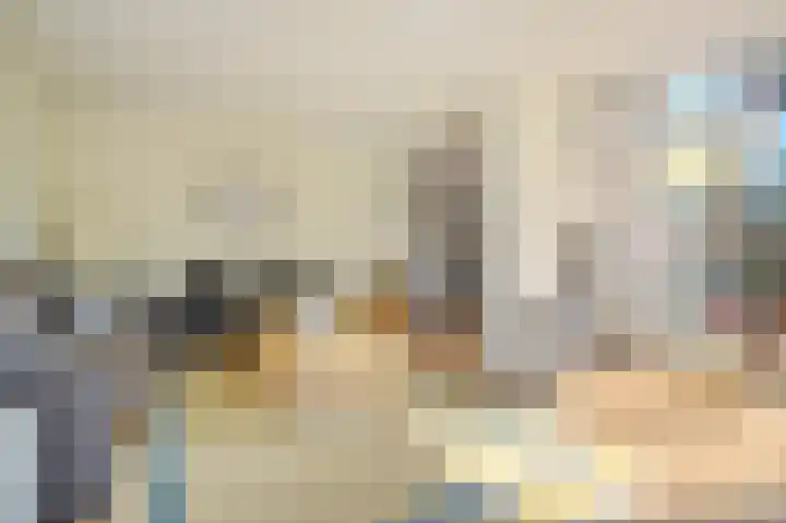 Borneolaan 6 Huizen thumbnail 9