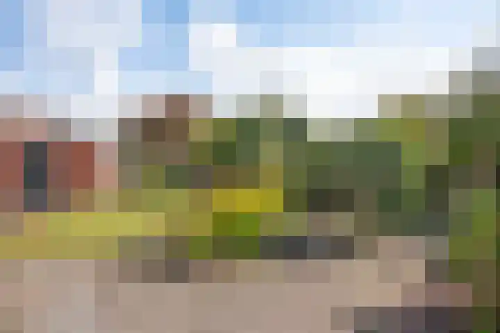 Bornerbroeksestraat 55 Borne thumbnail 28