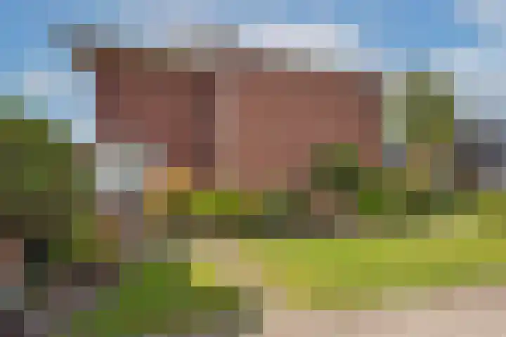 Bornerbroeksestraat 55 Borne thumbnail 30