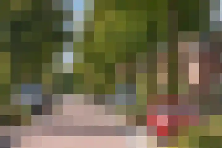 Bornerbroeksestraat 55 Borne thumbnail 31