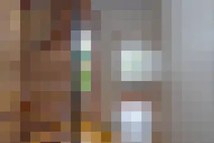 Bornerbroeksestraat 55 Borne thumbnail 7