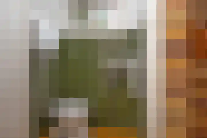 Bornerbroeksestraat 55 Borne thumbnail 8