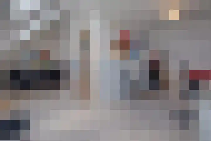 Bornerkapelstraat 13 Born thumbnail 24