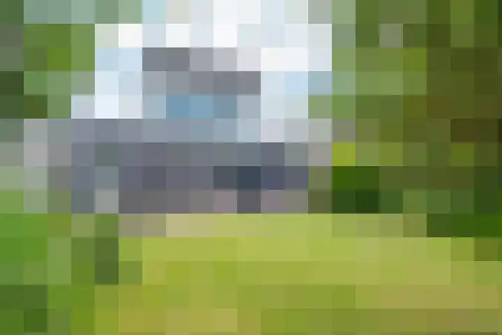 Bornerkapelstraat 13 Born thumbnail 27