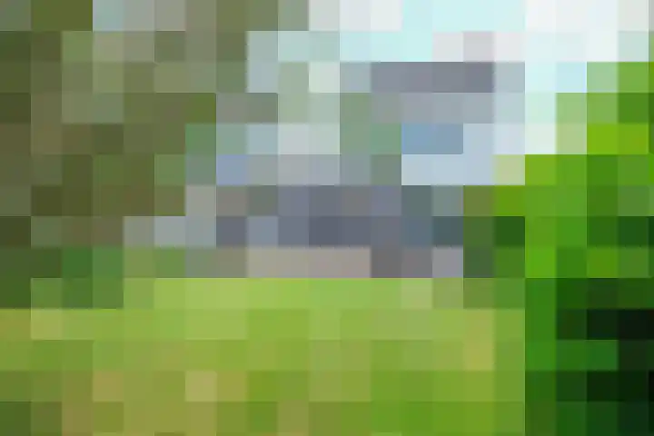 Bornerkapelstraat 13 Born thumbnail 4