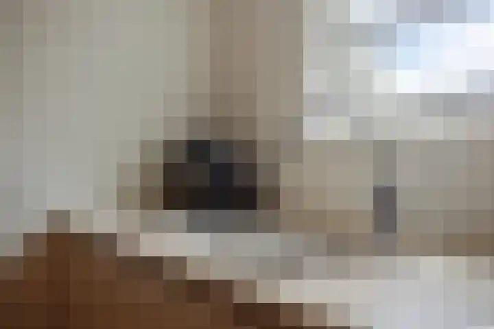 Bornerkapelstraat 21 Born thumbnail 19