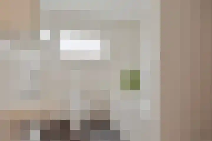 Bornerkapelstraat 21 Born thumbnail 26
