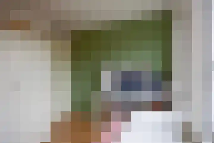 Bornerkapelstraat 21 Born thumbnail 29