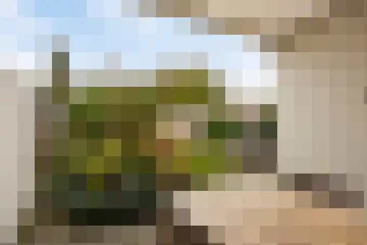 Bornerkapelstraat 21 Born thumbnail 37