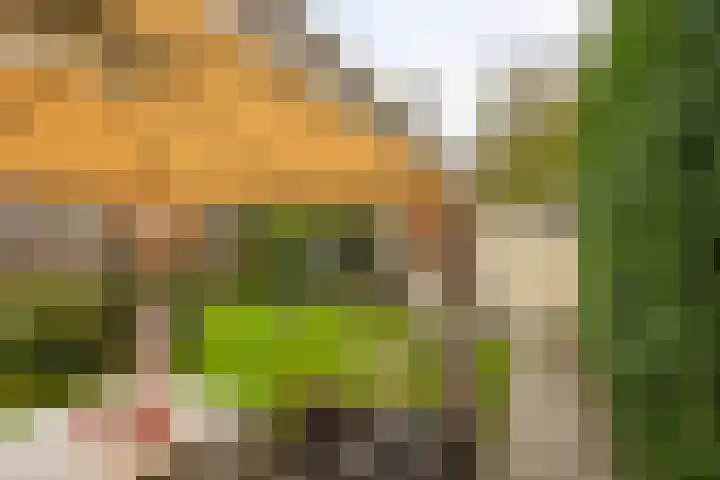 Bornerkapelstraat 21 Born thumbnail 39