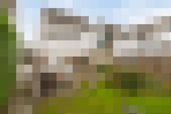 Bornerkapelstraat 21 Born thumbnail 40