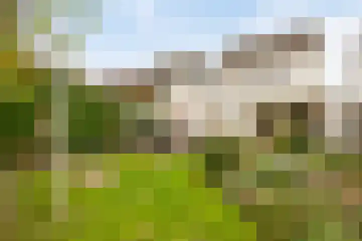 Bornerkapelstraat 21 Born thumbnail 41