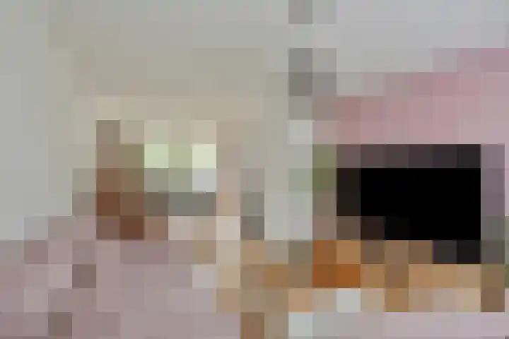 Bornerkapelstraat 21 Born thumbnail 8