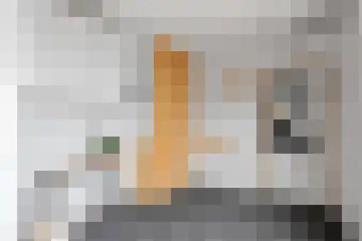 Bornerweg 18 Obbicht thumbnail 10