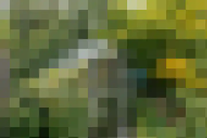 Bornerweg 18 Obbicht thumbnail 24
