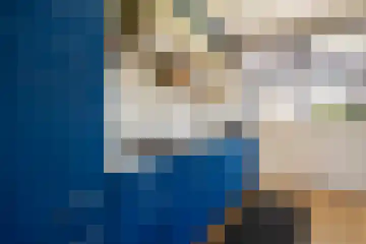 Bornialeane 31 Weidum thumbnail 13