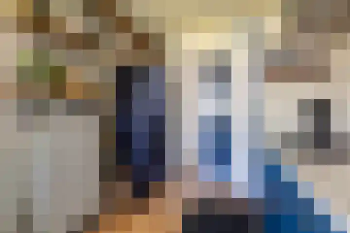 Bornialeane 31 Weidum thumbnail 14