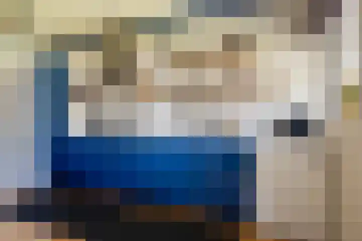 Bornialeane 31 Weidum thumbnail 15