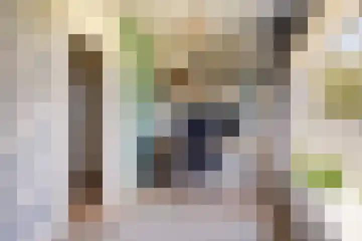 Bornialeane 31 Weidum thumbnail 24