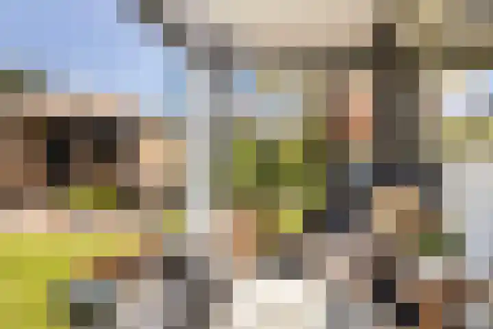 Bornialeane 31 Weidum thumbnail 28