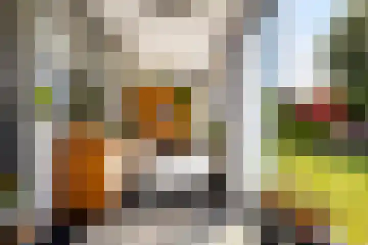 Bornialeane 31 Weidum thumbnail 29