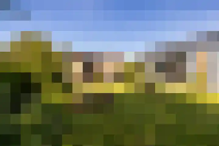 Bornialeane 31 Weidum thumbnail 33