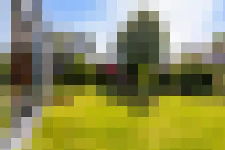 Bornialeane 31 Weidum thumbnail 34