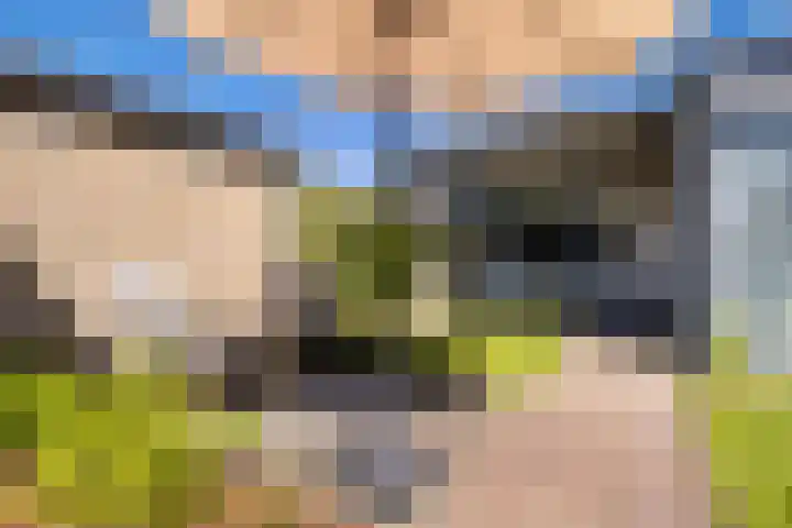 Bornialeane 31 Weidum thumbnail 36