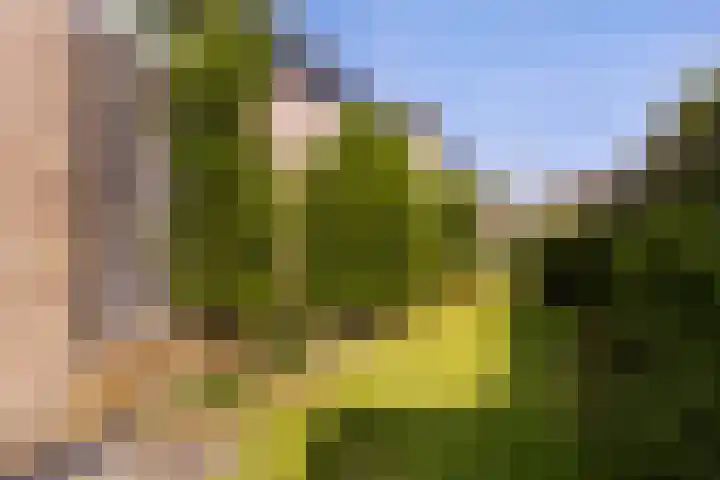 Bornialeane 31 Weidum thumbnail 42