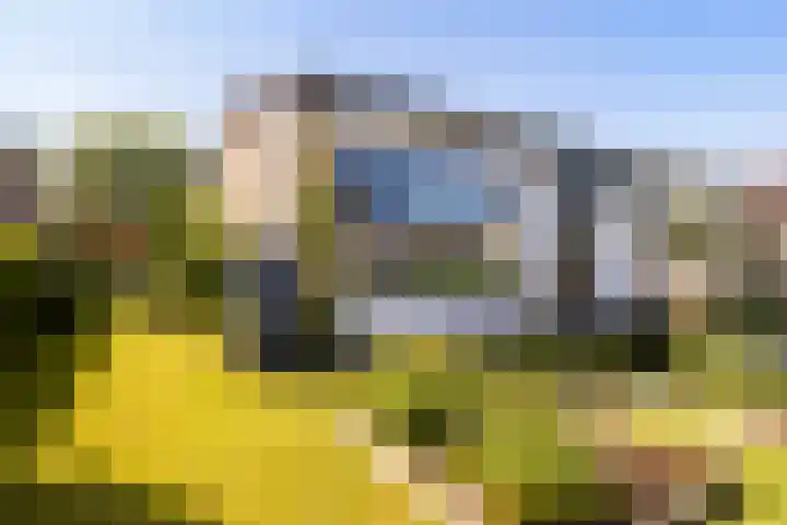 Bornialeane 31 Weidum thumbnail 45
