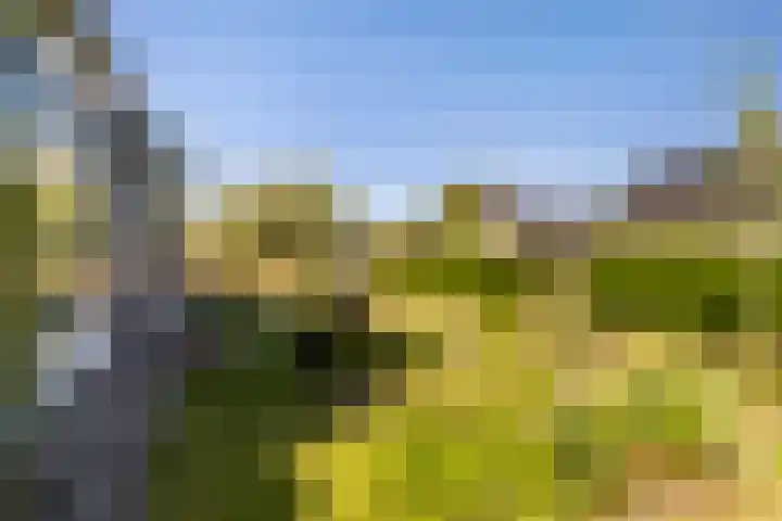 Bornialeane 31 Weidum thumbnail 46
