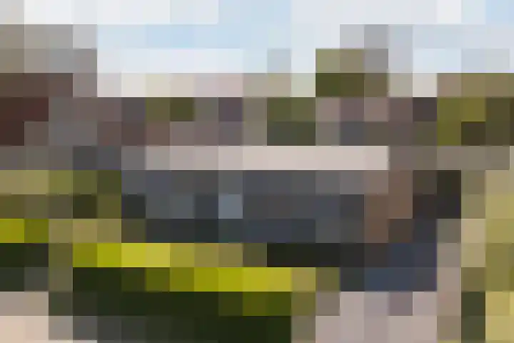 Bornialeane 31 Weidum thumbnail 47