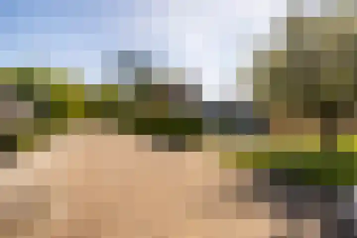 Bornialeane 31 Weidum thumbnail 51
