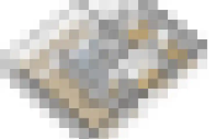 Bornialeane 31 Weidum thumbnail 56