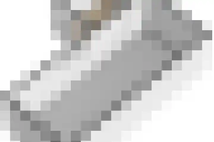 Bornialeane 31 Weidum thumbnail 60